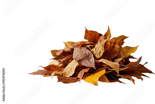 Pile of autumn fall leaves creating a seasonal background element, dry foliage for nature concepts, isolated on transparent