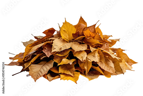 Autumn foliage pile with golden brown dry leaves, celebrating nature's fall season, isolated, transparent background