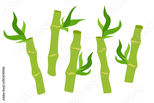 Bamboo stem with leaves. Simple cartoon hand drawn bamboo trunk. Flat bamboo silhouette. Stock vector illustration isolated on white background.