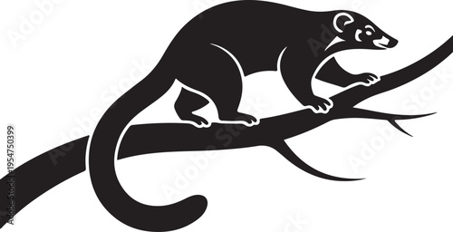 Black Silhouette of a Coati Animal on a Tree Branch with Black And White