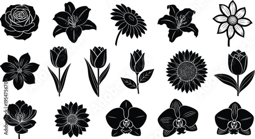 Collection of black and white tropical flower and symbols hibiscus plumeria