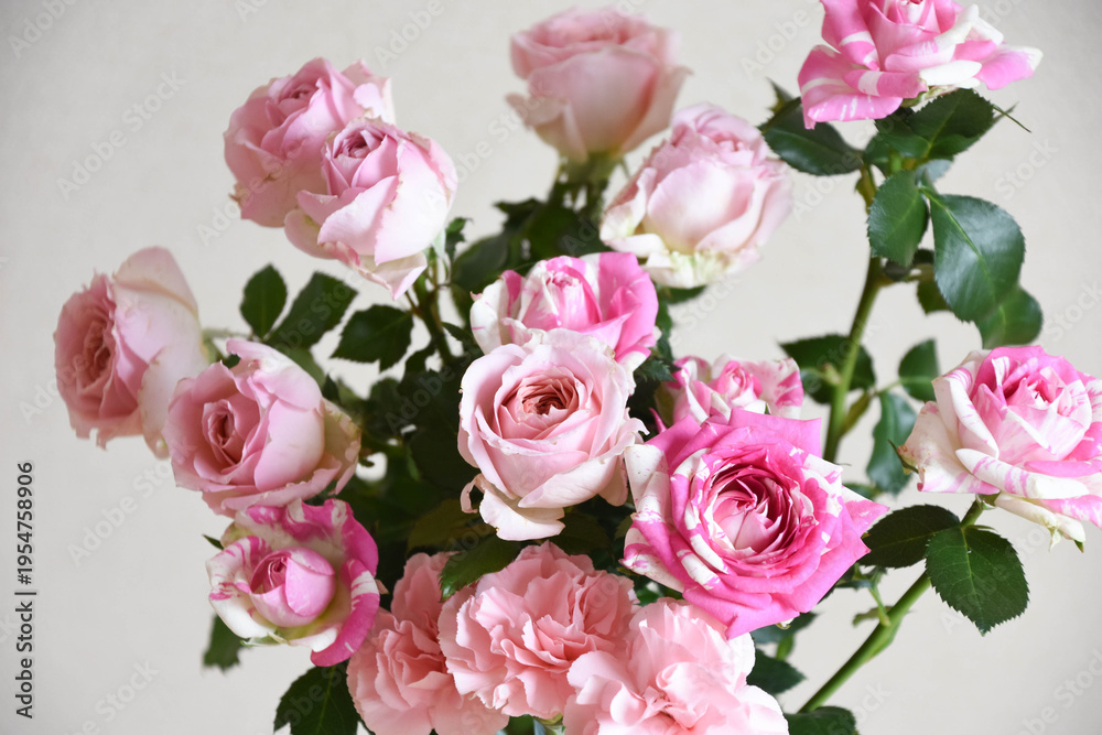 Fototapeta premium 薔薇とカーネーション