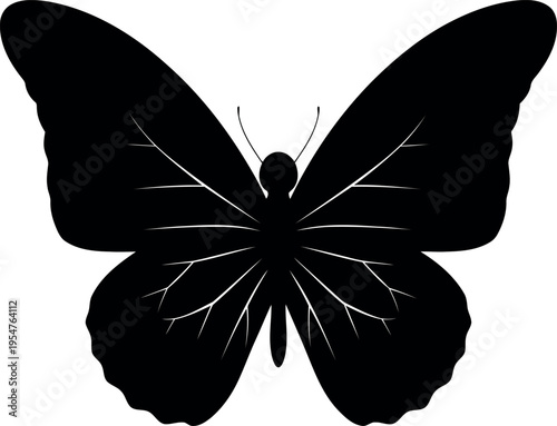 Elegant black butterfly with detailed wings isolated design image