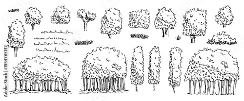 Tree, grass, bushes sketch elements. Ink pen park floral forms illustration. Vintage forest shrubs, ink landscape vector shrub shapes. Garden bushes silhouette isolated on white background.