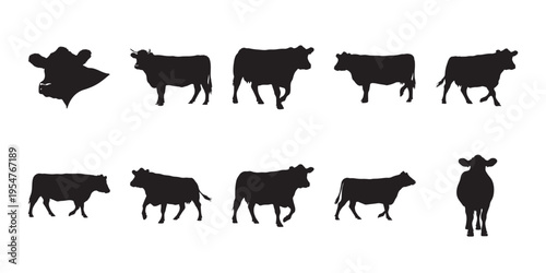 Cow Silhouette Collection Set. Minimalist black cow silhouettes featuring head, standing, walking, grazing, side and front views in various poses. perfect for farming, livestock, branding, and icons. 