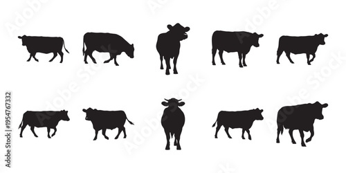 Cow Silhouette Set. Collection Of Black Cow Silhouettes In Standing, Walking, Grazing, And Front Views, Isolated On White Background For Farm Design.