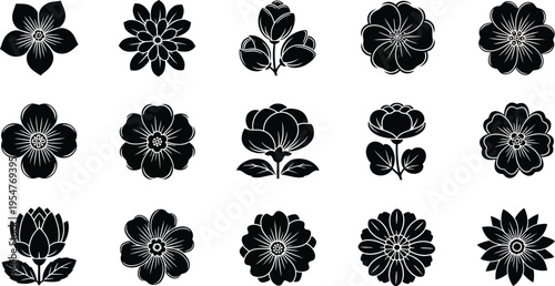 Collection of black and white tropical flower and symbols hibiscus plumeria