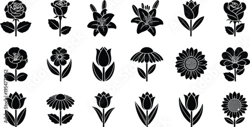 Collection of black and white tropical flower and symbols hibiscus plumeria