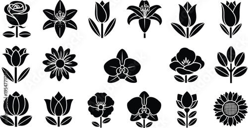 Collection of black and white tropical flower and symbols hibiscus plumeria