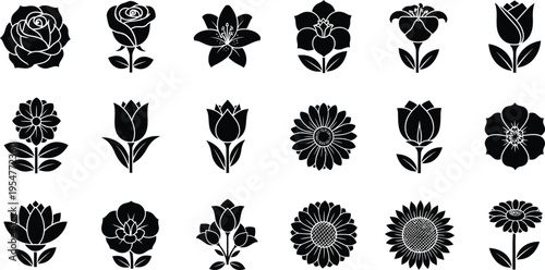 Collection of black and white tropical flower and symbols hibiscus plumeria