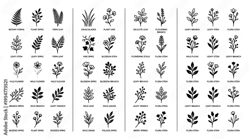 Fototapeta premium Collection of vintage black-and-white botanical herb illustrations featuring leaves and stems in detailed engraving style for design, print, and education.