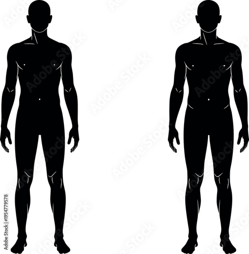 Male human body silhouette front view anatomy template isolated on light background muscular figure outline for medical fitness education design vector illustration