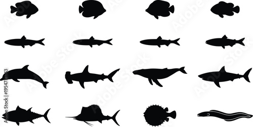 Black silhouettes of marine life including shark, whale, dolphin, tuna, sailfish, eel, and pufferfish isolated on white background