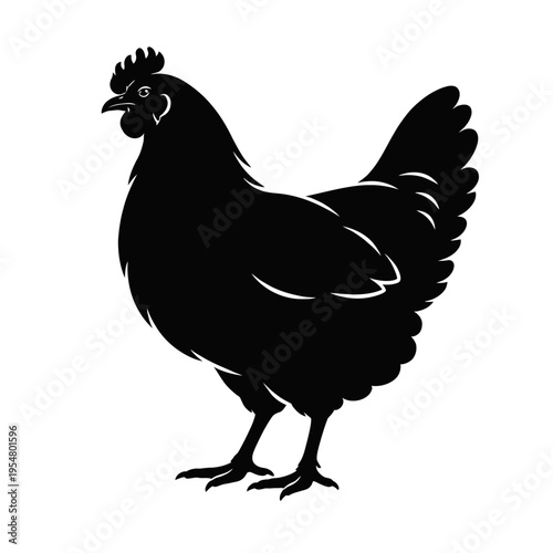 Stunning vector silhouette of a domestic hen, showcasing a detailed side profile of a farm fowl. Perfect for poultry, agriculture themed designs, logos, educational materials, or decorative graphic el