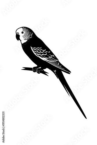 Monochromatic silhouette artwork depicting a vibrant budgerigar, or common pet parakeet, with intricate head markings and long tail feathers, perched serenely on a minimalistic branch. This striking b
