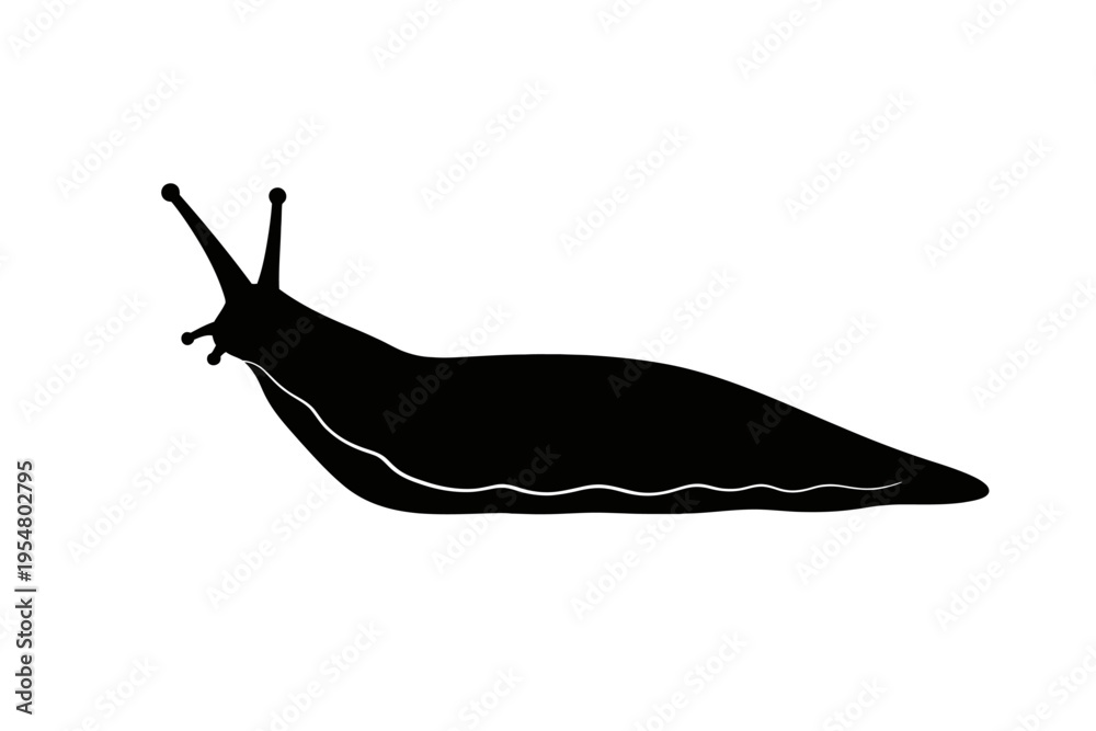 Fototapeta premium Black silhouette vector of the garden slug, a terrestrial gastropod mollusc, with its elongated body and tentacles. Isolated on white, useful for nature, biology, pest control designs, educational mat
