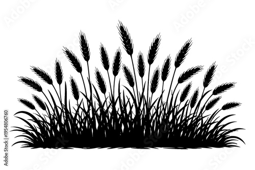 Striking minimalist black silhouette vector illustration depicting a bountiful field of ripe wheat or grain ears and stalks with underlying grass. Ideal for agricultural branding, farm designs, organi