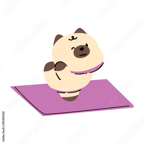 A cute cat standing on one leg on a yoga mat. Hand-drawn.
