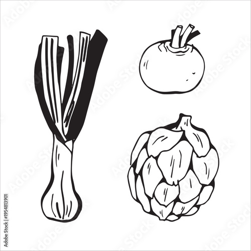 Leek, Artichoke and Turnip in doodle style