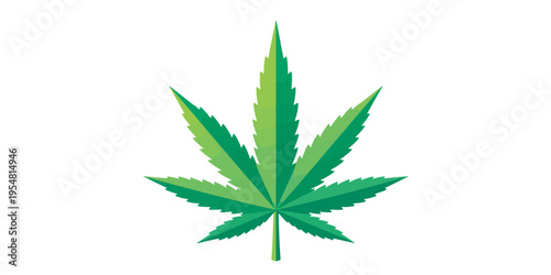 Closeup of a green cannabis leaf.