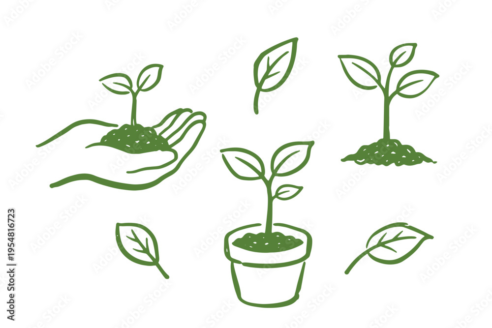 Fototapeta premium Seedling growth elements set outline sketch vector illustration