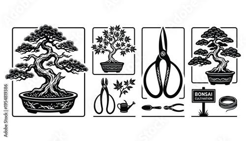 Bonsai tree cultivation and gardening tools vector illustration set