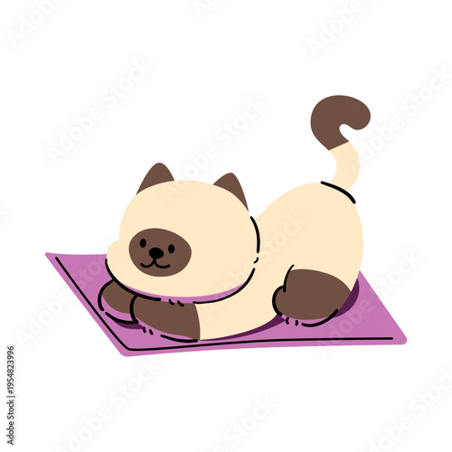 A kitten stretching on a yoga outfit, hand-drawn.