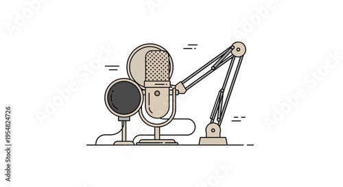 Professional studio microphone and pop filter.