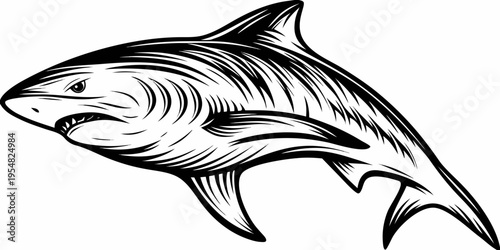 Great White Shark Swimming Side View Monochrome Line Art