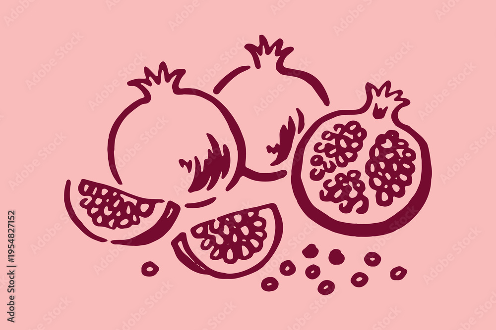 Fototapeta premium Pomegranate elements set outline sketch vector illustration