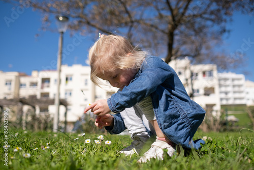 Little 4 year old girl gathering a bouquet of daisies in a sunny meadow