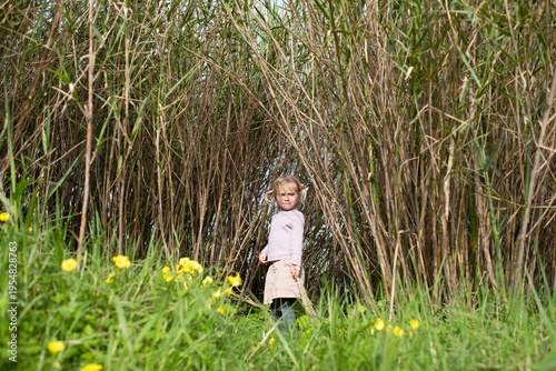 Curious 4 year old girl wandering through tall reed thickets outdoors
