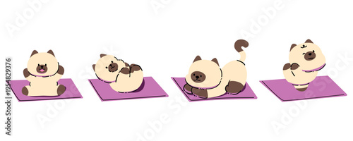 Cat exercise set on a yoga mat.