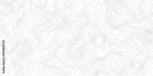 Contour abstract map relief land outline. Topographic map patterns. White wave paper curved reliefs abstract background. Background of the topography map. Abstract pattern with lines.
