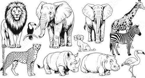 Hand Drawn African Safari Wild Animals Collection with Lion Elephant Giraffe Zebra Cheetah Rhino Hippo Vector Illustration
