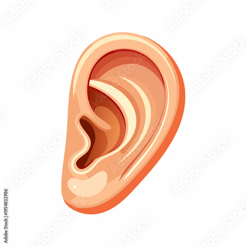 Cartoon Ear Illustration, Isolated Human Hearing Anatomy Element