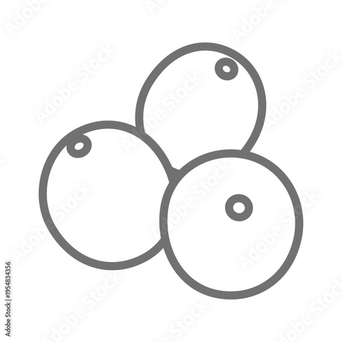 クランベリーの線画シンプルイラスト