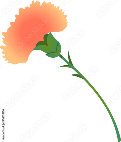 やわらかなグラデーションで描かれたオレンジ色のカーネーション一輪のシンプルイラスト（母の日・感謝・フラワーギフト・春の花素材）