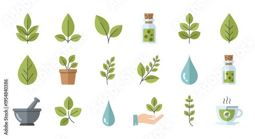 Collection of Green Leafy Plants and Herbal Elements.