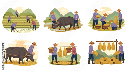 Illustration showing several stages of traditional rice farming including planting seedlings, plowing with water buffalo, and harvesting mature crops.