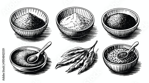 Six bowls with spices, plus a bunch of grains and a spoon, black and white sketch, spice blend