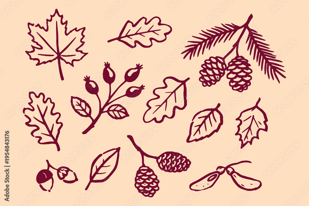 Obraz premium Autumn forest elements set outline sketch vector illustration