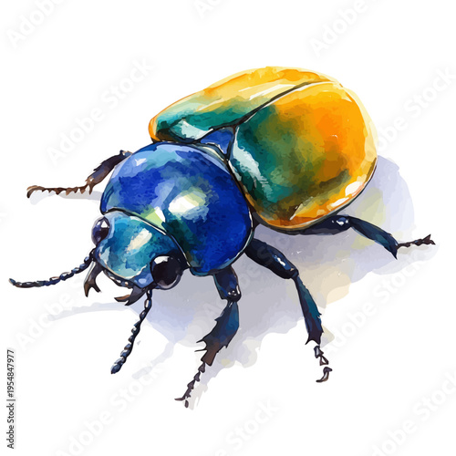 watercolor of Dung Beetle, vector, isolated on a white background.