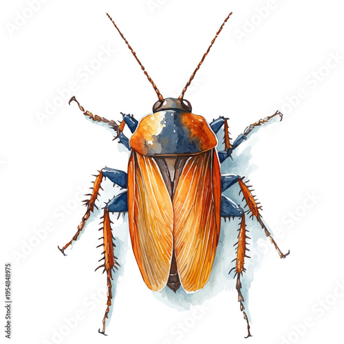 Cockroach, watercolor clipart vector, isolated on a white background.