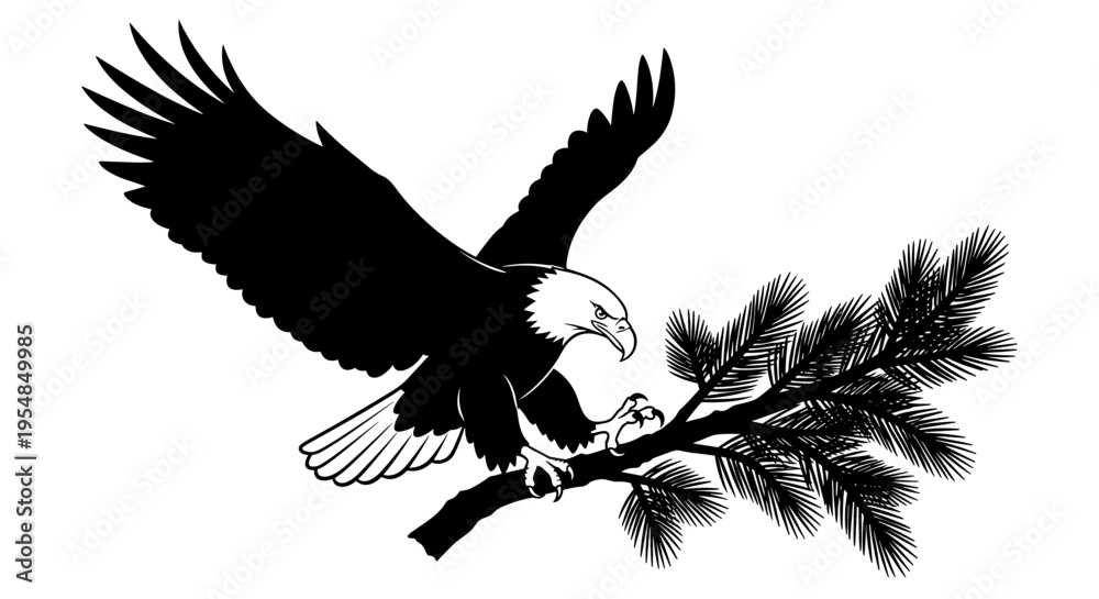 Obraz premium Bald Eagle on Pine Branch 1.