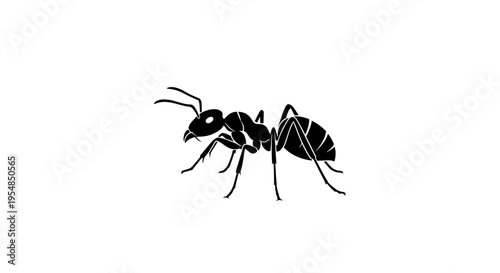 Black Ant Side View Illustration 2.