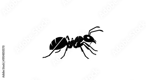 Black Ant Side View Illustration 1.