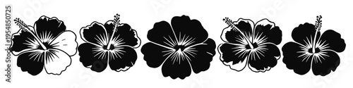 Hibiscus flower border in bold silhouette style with tropical floral elements, ideal for decorative designs, summer themes, and botanical vector use.