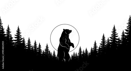 Black bear standing in forest.