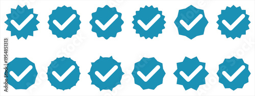 Round colourful Cheak mark icon set isolated on white background. Vector illustration. Blue cheak mark.